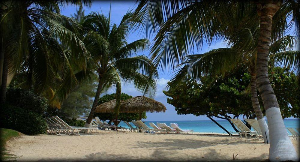 Caribbean Club Boutique Hotel, Grand Cayman Dog City Exterior foto