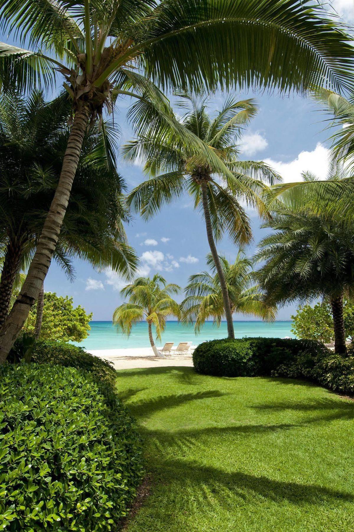 Caribbean Club Boutique Hotel, Grand Cayman Dog City Exterior foto